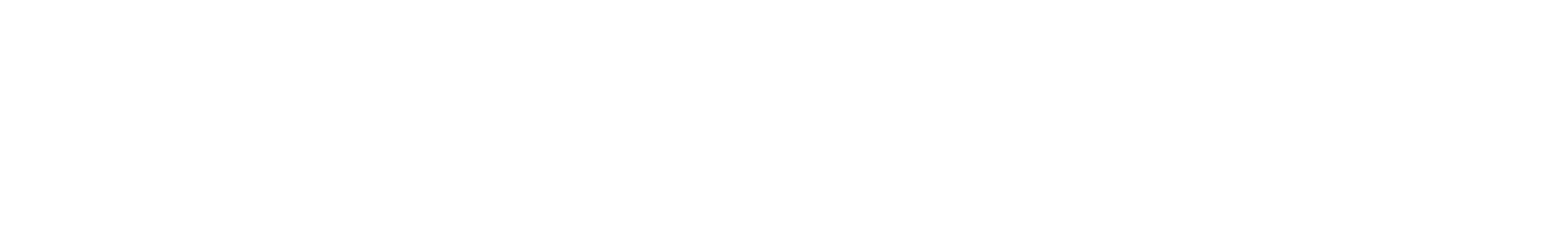 Simple Footer Logo
